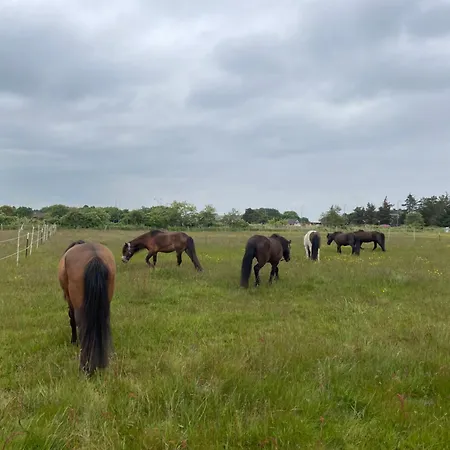 Hellesbnb Vakantieboerderij Romo