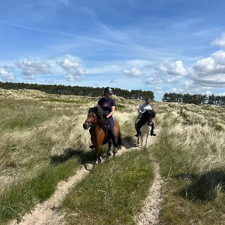 Hellesbnb Vakantieboerderij *